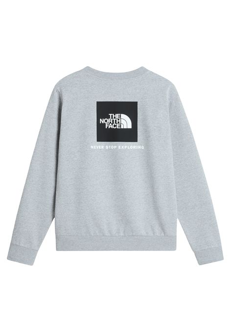 The North Face Evolution Box NSE Regular Crewneck Sweatshirt Grey Men THE NORTH FACE | Sweatshirts | NF0A8FD3-CQO